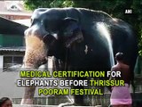 Medical certification for elephants before Thrissur Pooran festival