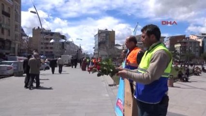 Erzurum CHP'li Belediye Kutlu Doğum İçin 10 Bin Gül Dağıttı
