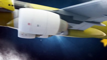 فاصل كنز 4 - الطائرة | طيور الجنة