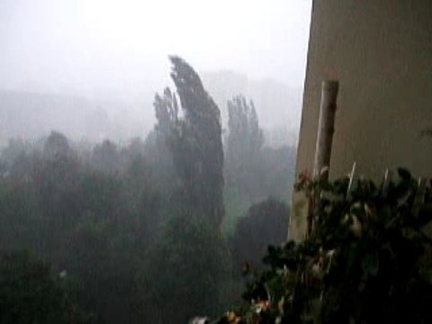 DSCF2085