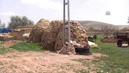 Kazada Ölen Tıp Öğrencisinin Duygulandıran Hikayesi