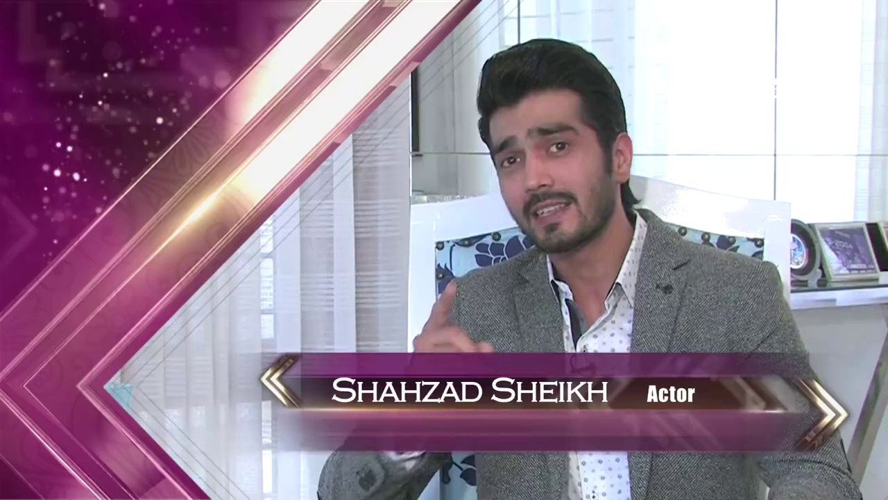 Shahzad Sheikh Views About ARY Film Awards Dubai 2016