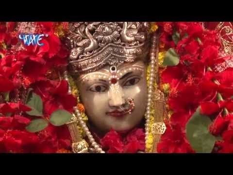 HD निमिया कइले पतझरिया - Devlok Lage Mai Dham | Ravindra Singh Jyoti | Bhojpuri Mata Bhajan