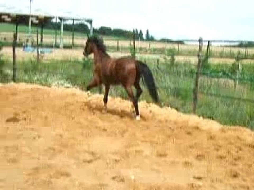 ramsès lib 2 ans 06.07