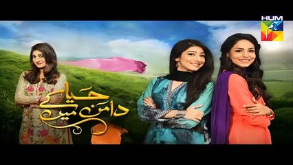 Haya Kay Daman Main Episode 6 Promo HUM TV Drama 05 April 2016