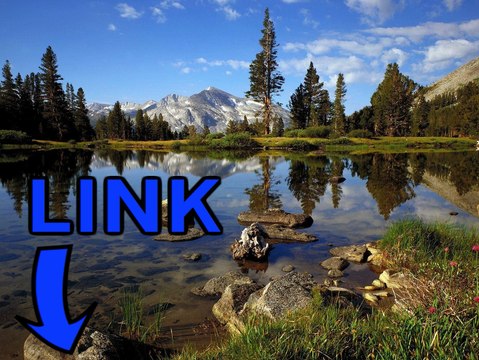 Subnautica steam keygen gratuit telecharger