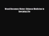 Read Wood Becomes Water: Chinese Medicine in Everyday Life PDF Free