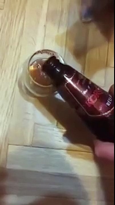 Кот оценил пиво