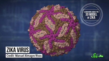 Another Zika Update & Quantum Physics Gamers