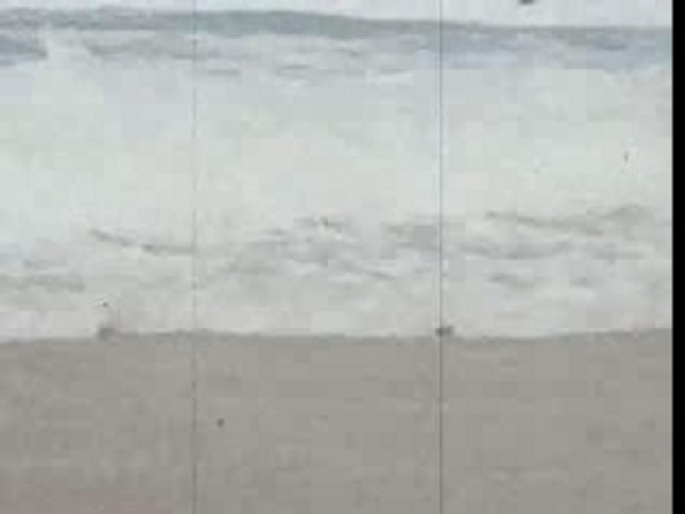 Vacances Anglet 2005