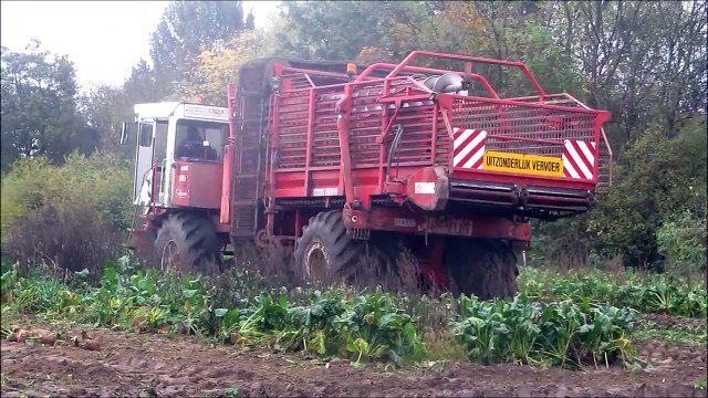 Dewulf 2 fasen bieten rooien 2012 - De Cuyper uit Waregem