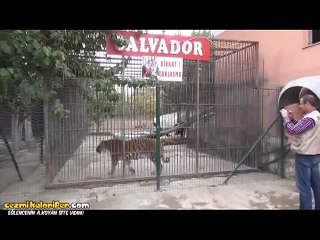 Benzin İstasyonundaki Kaplan ve Filan Çocuk