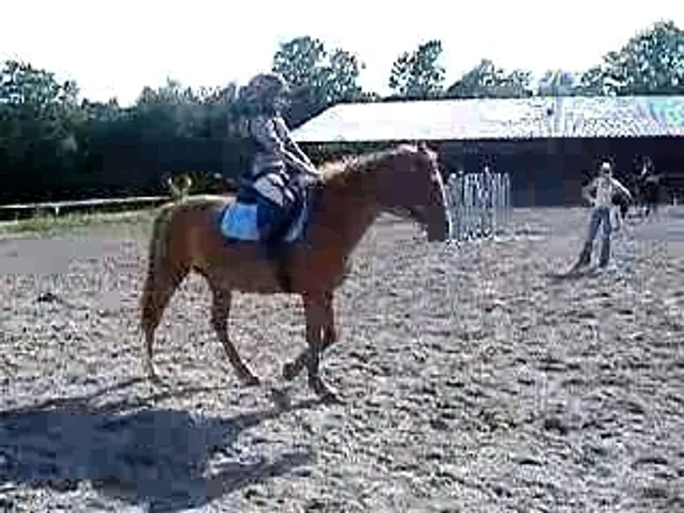 Moi et Hermine