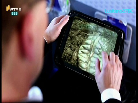 Coleção de Sonhos e Desilusões, Tesouros Perdidos da Rota da Seda