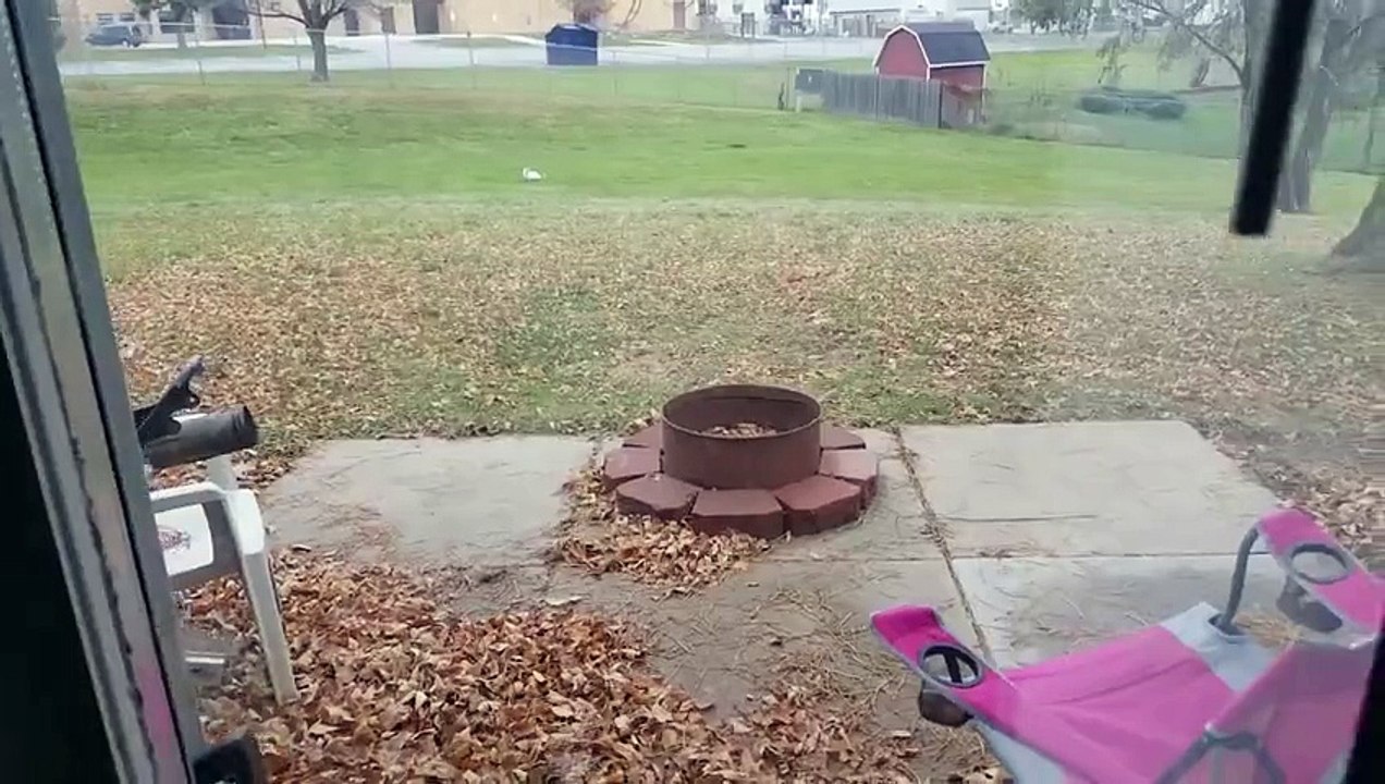 Cat Jumps Over Fence to Get Away from Dog