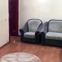 Fake attack funny clip