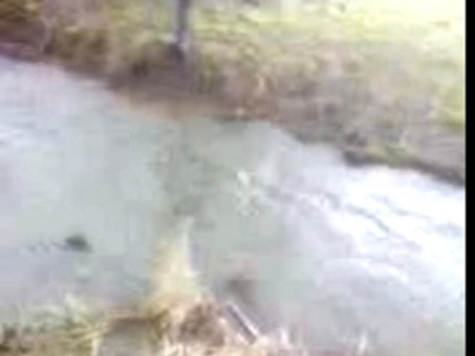 Pierre S se la joue tarzan mdr !! (inutile)