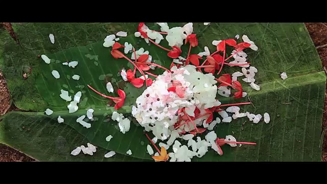 Malayalam Full Movie 2016  Education Loan  Malayalam Full Movie 2016 New Releases 114