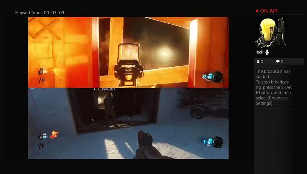 Yolo (8)