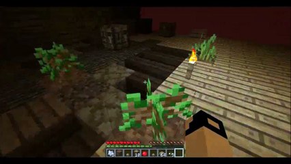 Infernal Skies Ep#3 Waiting for life to grow