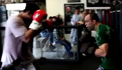 Werdum VS Wanderlei (sparring)