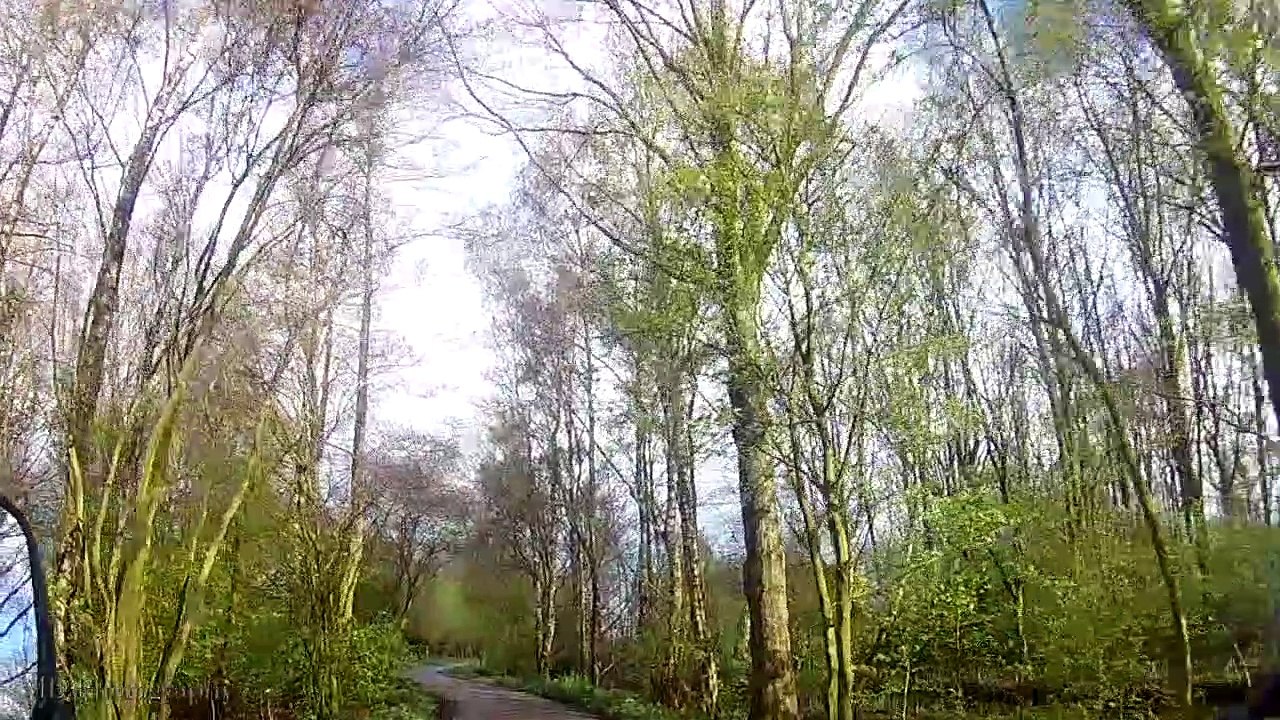 Steinse Groen