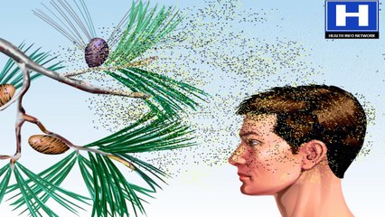 Pollen allergy Symptoms, Causes and Treatment.