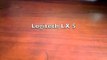 Logitech LX 5 Wireless Mouse Review