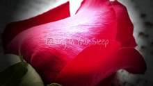 Talking In Your Sleep - Marmalade