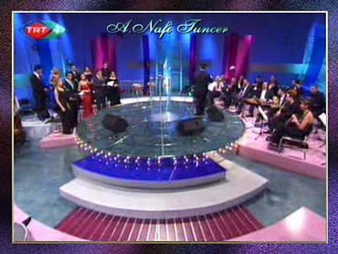 TRT TSM KORO-Evlerinin Önü Handır (4)