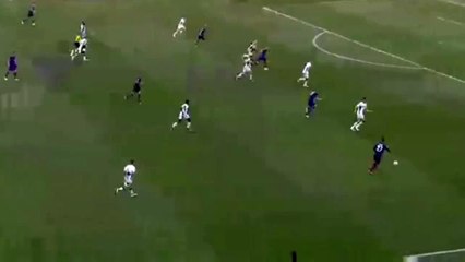 Josip Ilicic Amazing Goal ~ Fiorentina vs Sassuolo 2-1 17.04.2016