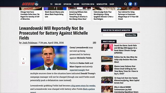 Michelle Fields Sued for Defamation