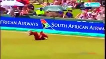 Best Catches in Cricket History - Top Cricket Catches - Cricket Highlights 2016 - You World