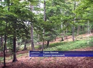Šumski fond u Opštini Bor, 17. april 2016. (RTV Bor)