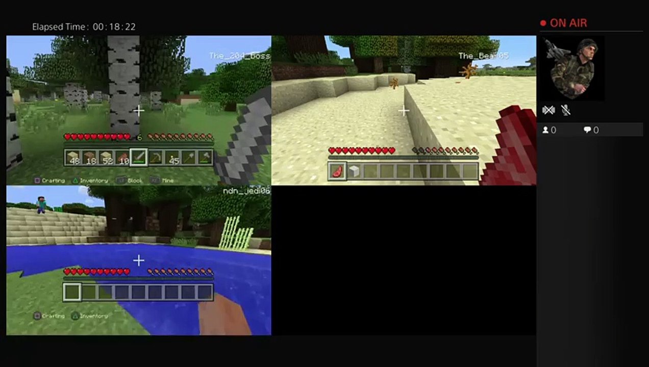 Minecraft gamer (2)