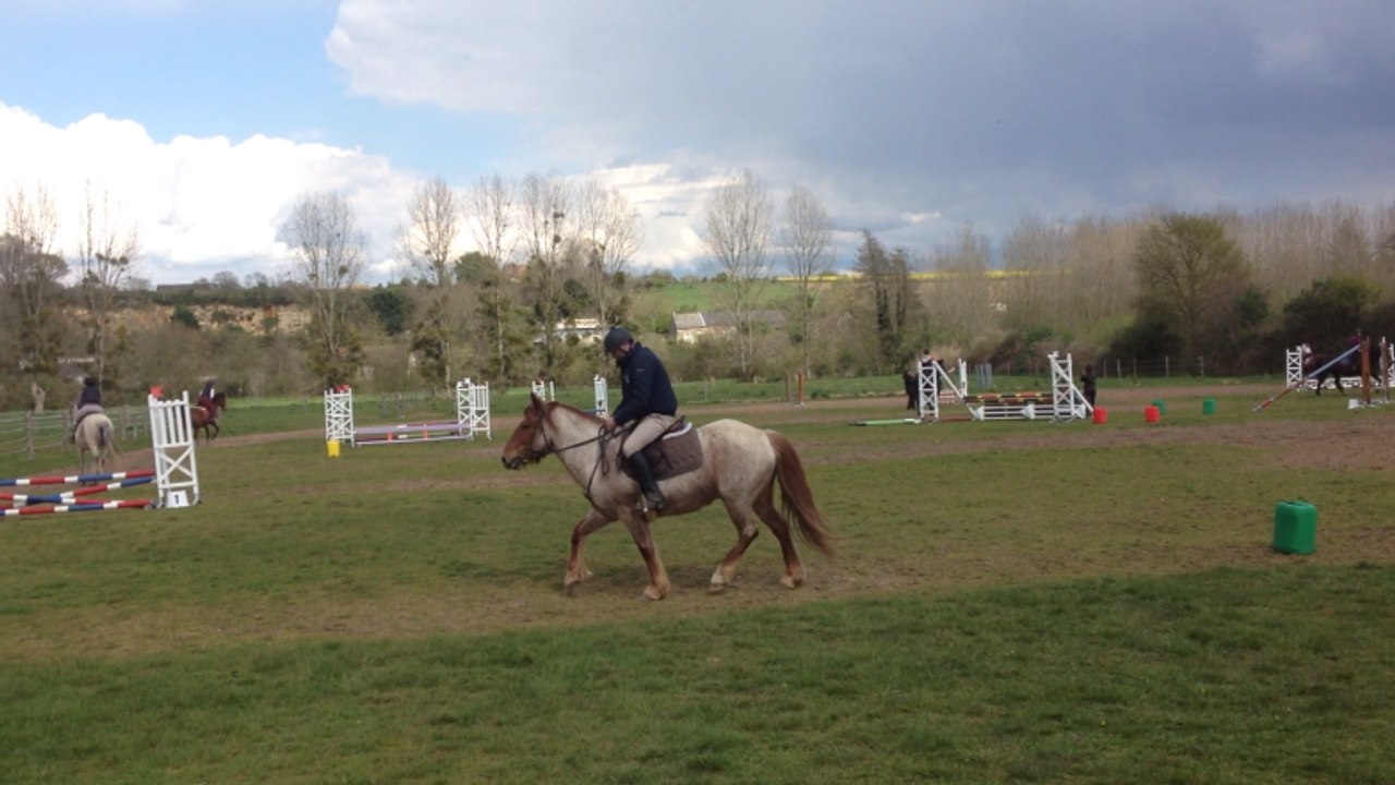Les écuries ouvrent leurs portes