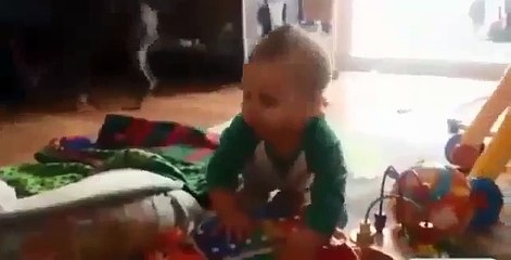 Oh boys, Funny video collection.