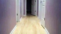 Training A Dachshund To Stop Running Out The Front Door Video