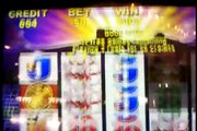 Buffalo slot machine bonus, 10 lines at 5x, alternate betting method