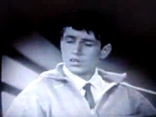 Bee Gees, em Time is passing by 1960