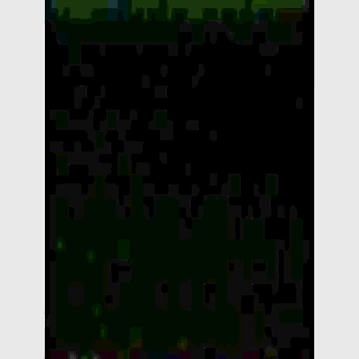 Warner Bros. Animation (1991)