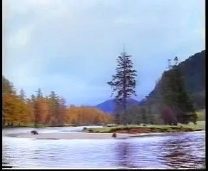 Man Fights Bear for Salmon