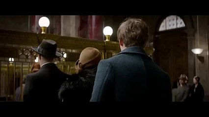 FantasTic Beasts and Where to Find Them Official Teaser Trailer daily motion