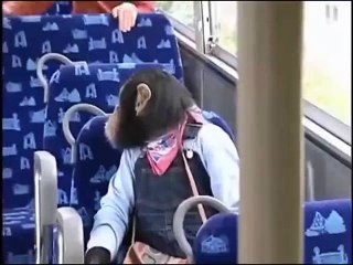 Kada Bi Svi Ustajali U Autobusu Starijim Ljudima Kao Ovaj Majmun...
