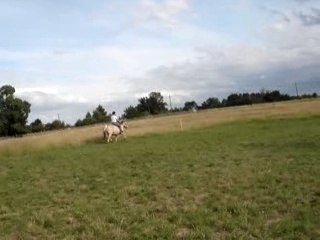 petite séance de travail