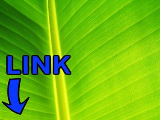 Survarium keygen telecharger