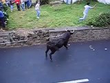 Fontinhas Bullfight