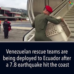 Venezuelan Rescue Teams Deployed to Ecuadorean Coast
