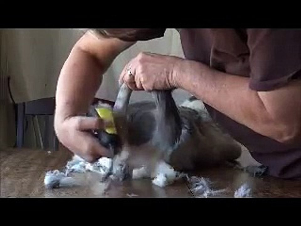 Shaving My Pu$$1E