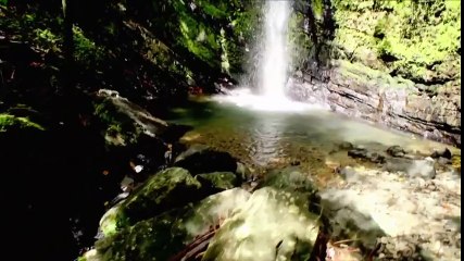 Greetings from Puerto Rico  Raw, April 4, 2016